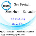 Shenzhen Port LCL Consolidação para Salvador